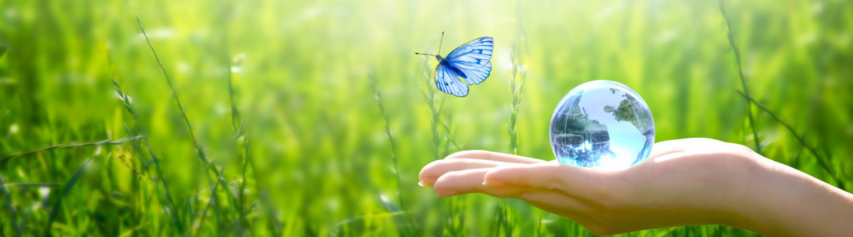 Service Environmental Protection